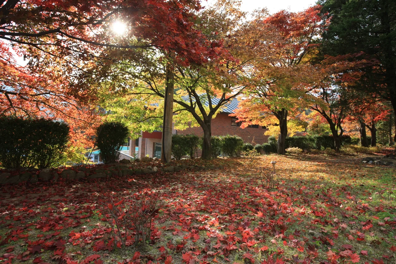 용소막성당 3